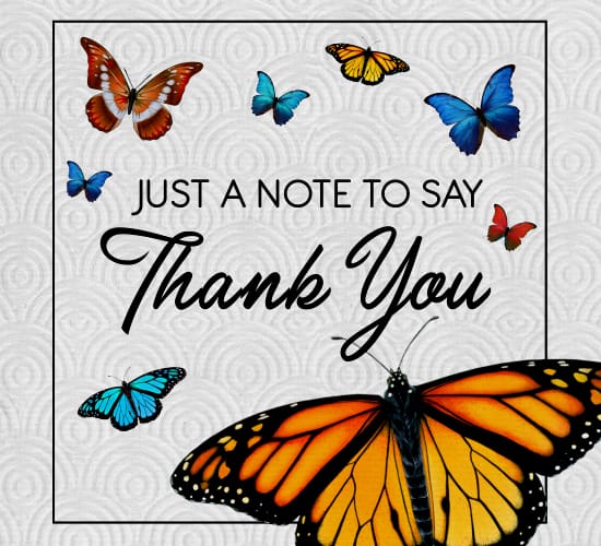 Monarch Butterflies Thank You Card